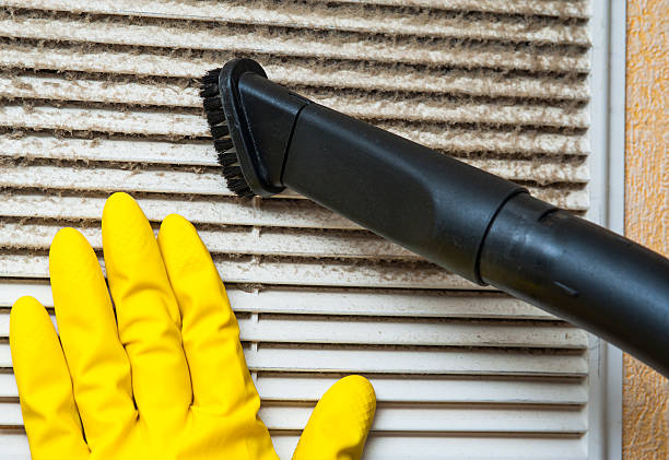 Best HVAC Duct Inspection Services  in Tinley Park, IL